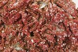Ruby Red Vanadinite Crystals on White Barite - Morocco #231843-1